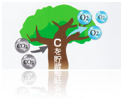 地球温暖化防止への貢献