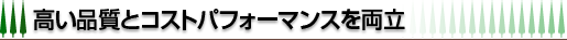 �����i���ƃR�X�g�p�t�H�[�}���X�𗼗�